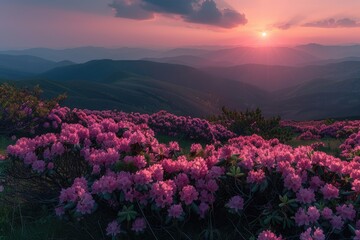 Fototapeta premium Magical Landscapes