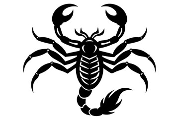 scorpion isolated on white background