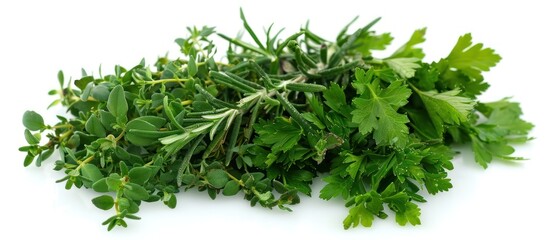 Obraz premium A bunch of fresh rosemary, parsley, and thyme sprigs isolated on a white background.
