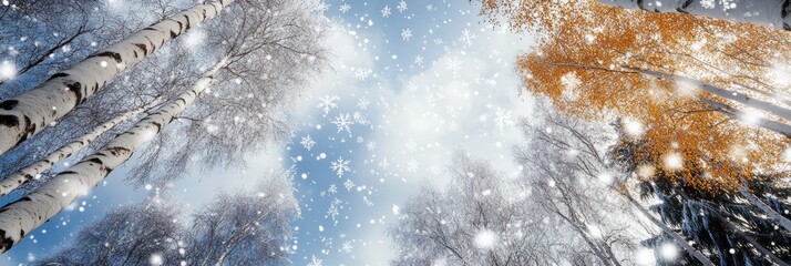 cloudy winter day, pine falling snowflakes background