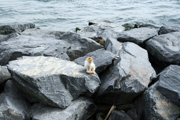 Journey to Istanbul. Spring 2010