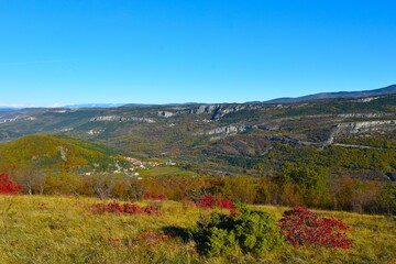 View of Kraški Rob above Hrastovlje village from a meadow with red colored smoke tree (Cotinus coggygria) bushes in Istria, Primorska, Slovenia