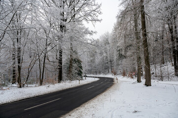Obraz premium A car on a road in a forest with a lot of snow