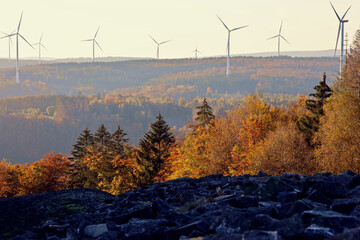 Aussicht auf Bäume und Landschaft mit Windrädern am keltischen Ringwall Hunnenring im...