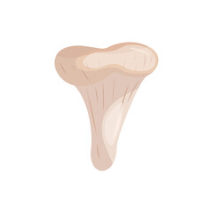 Chanterelle on a white background vector illustration.
