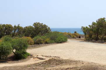 Landscape near Salamis