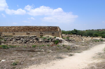 Fototapeta premium Salamis was an ancient Greek city-state on the east coast of Cyprus, at the mouth of the river Pedieos, 6 km north of modern Famagusta. 