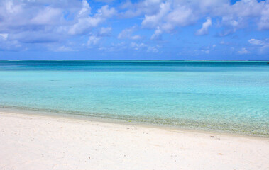 Fototapeta premium beach with sky