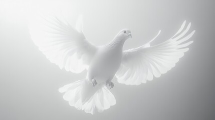 Obraz premium White dove in flight, wings spread wide, ethereal glow.