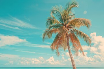 Tropical beach with palm tree  blue sky  white clouds. Vintage style.