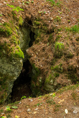 Mystery Valley Earth Cracks 2024-4