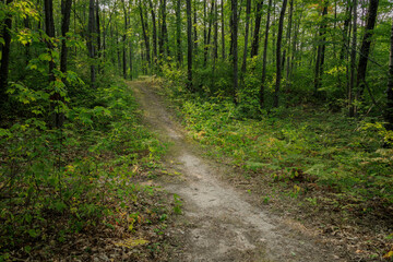 Obraz premium Chippewa Hills 2024-2