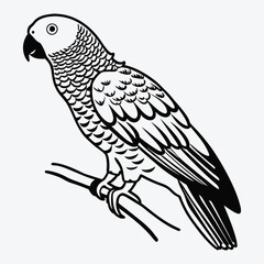 Fototapeta premium African Grey Parrot line art White background illustration Generative Ai