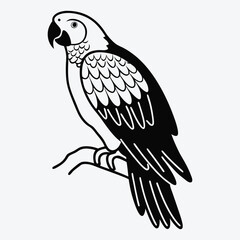Fototapeta premium African Grey Parrot line art White background illustration Generative Ai
