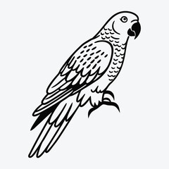 Fototapeta premium African Grey Parrot line art White background illustration Generative Ai