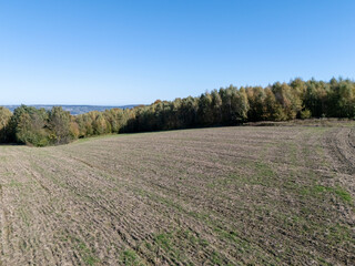 Fototapeta premium Aerial view of a beautiful agricultural field bordered by trees under a clear blue sky. Perfect for nature and farming themes