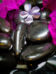 Stones and flowers
