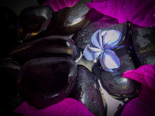 Zen stones