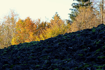 Der keltische Ringwall Hunnenring im Herbst im Nationalpark Hunsrück-Hochwald bei Otzenhausen....
