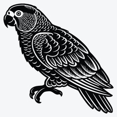 Fototapeta premium African Grey Parrot Silhouette White background illustration. Generative Ai
