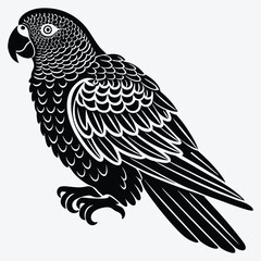 Fototapeta premium African Grey Parrot Silhouette White background illustration. Generative Ai