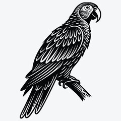 Obraz premium African Grey Parrot Silhouette White background illustration. Generative Ai