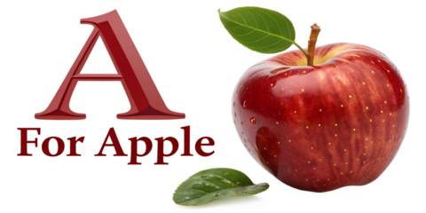 Text "A for Apple" with a photo of Apple isolated in a transparent background or white background. Perfect for kids book, book cover, educational materials preparation.