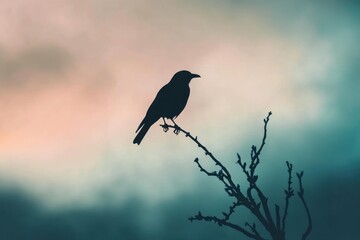 Fototapeta premium Silhouette Of A Bird Perched On A Branch Against A Cloudy Sky