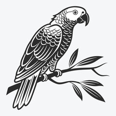 Fototapeta premium African Grey Parrot vector White background illustration Generative Ai