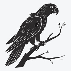 Obraz premium African Grey Parrot vector White background illustration Generative Ai