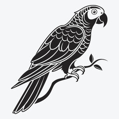 Obraz premium African Grey Parrot vector White background illustration Generative Ai