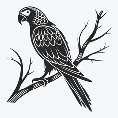 African Grey Parrot vector White background illustration Generative Ai