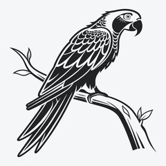 Fototapeta premium African Grey Parrot vector White background illustration Generative Ai