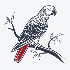 Fototapeta premium African Grey Parrot vector White background illustration Generative Ai