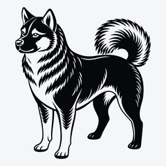 Obraz premium Akita Silhouette White background illustration. Generative Ai