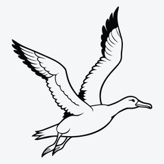 Fototapeta premium Albatross line art White background illustration Generative Ai