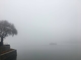 fog on the river
