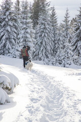 man trekking in magical winter landscape with snowy fir trees