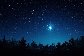 Fototapeta premium Bright Star Over Silhouetted Forest At Night