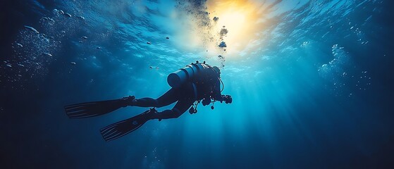 Diver exploring underwater with sunlight filtering through water.