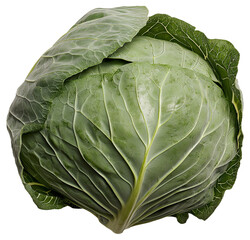 Obraz premium PNG Head of green cabbage with detailed leaves