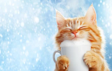 Plexiglas schilderij  Cute cat enjoying warm drink in cozy winter setting  © ChaoticDesignStudio