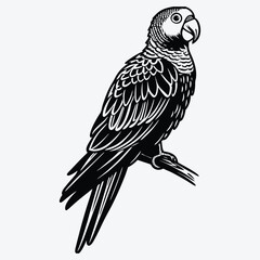 Fototapeta premium Amazon Parrot Silhouette White background illustration Generative Ai