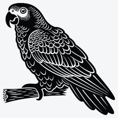 Fototapeta premium Amazon Parrot Silhouette White background illustration Generative Ai