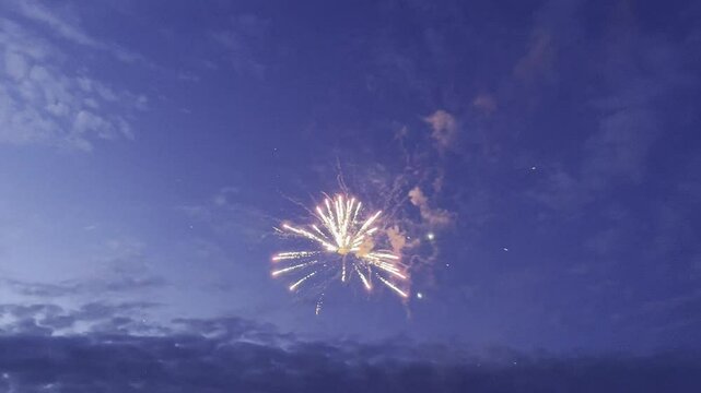 Beautiful colorful fireworks on dark night sky