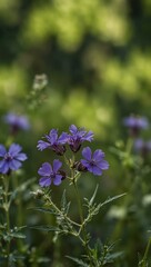 Purple wildflowers against a bright green backdrop.