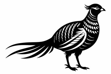 Obraz premium pheasant line art silhouette vector illustration