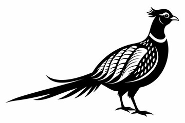 pheasant line art silhouette vector illustration