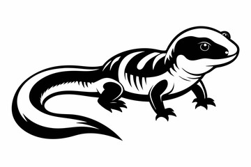 Fototapeta premium salamander line art silhouette vector illustration