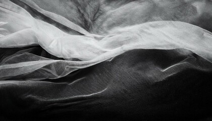 depth in monochrome embracing grainy textures on canvas